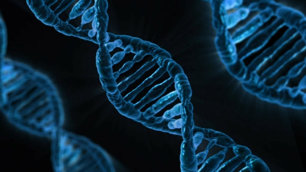 artificial DNA