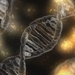 artificial DNA