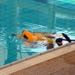 Dolphin Escape Robotic Above Ground Pool Cleaner