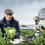 Cauliflower Picking Robots