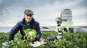 Cauliflower Picking Robots