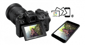 Best Mirrorless Camera review