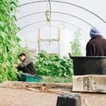 The Way Technology Is Impacting Our Food Production