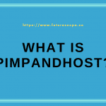 What Is Pimpandhost