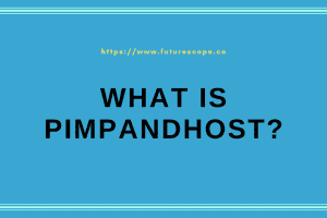 What Is Pimpandhost