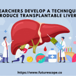 Researchers Develop A Technique To Produce Transplantable Livers