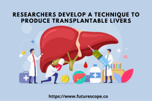 Researchers Develop A Technique To Produce Transplantable Livers