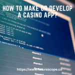 How to Make or Develop a Casino App