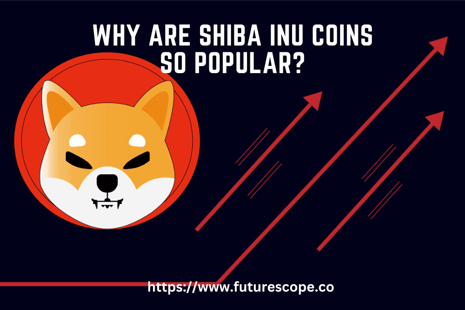 Why Are Shiba Inu Coins So Popular? The Rise of the DogecoinInspired
