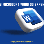 Why Is Microsoft Word So Expensive