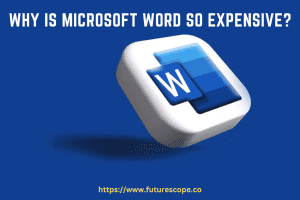 Why Is Microsoft Word So Expensive
