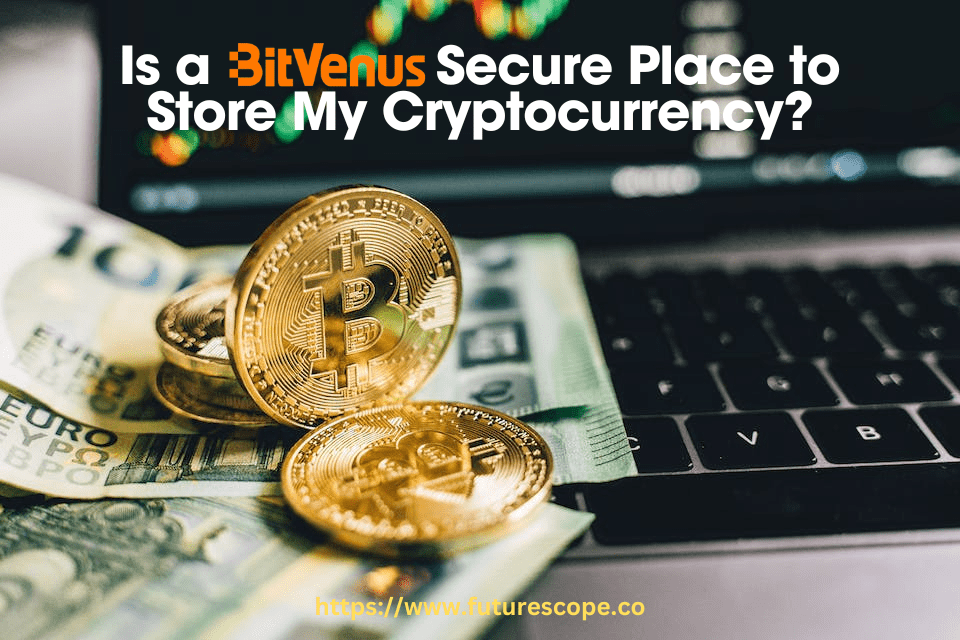 Is Bitvenus a Secure Place to Store My Cryptocurrency