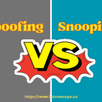 What is the Difference between Spoofing And Snooping