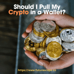 Should I Pull My Crypto in a Wallet
