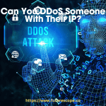 Can You DDoS Someone With Their IP
