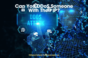 Can You DDoS Someone With Their IP