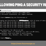 Is Allowing Ping a Security Risk