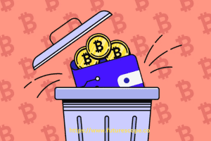 How Large is the Biggest Bitcoin Address by Holdings?