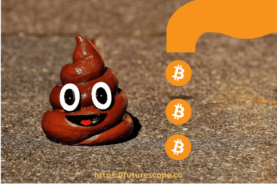 DoopApp Review This Weird App Pays You Crypto for Poop Pics