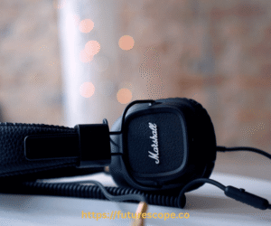 How to Choose the Best Noise Cancelling Headphones: A Complete Guide with Key Facts