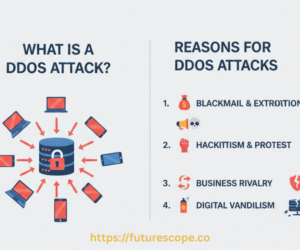 What Is the Reason for DDoS Attacks?